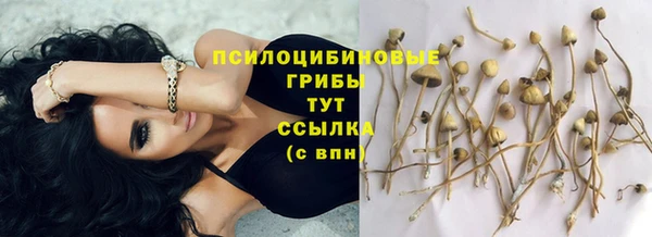 прущая мука Магас