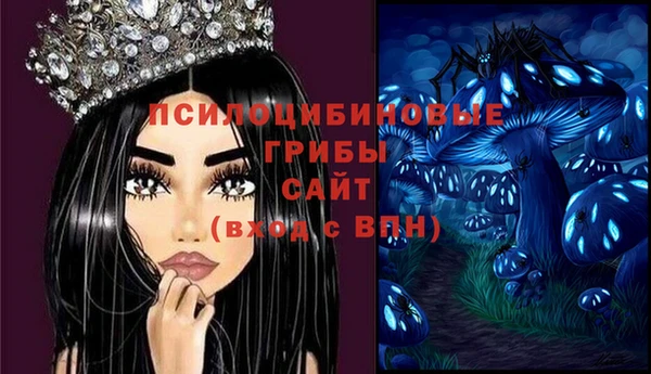 прущая мука Магас