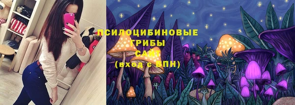 прущая мука Магас