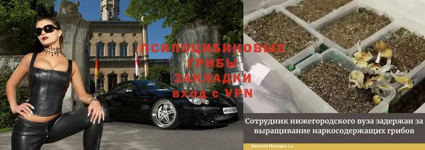 гашик Магадан