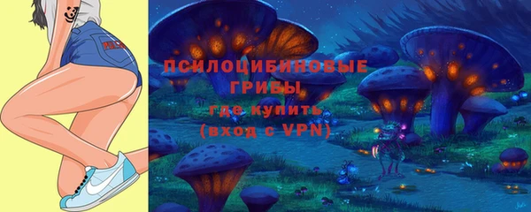 винт Майский