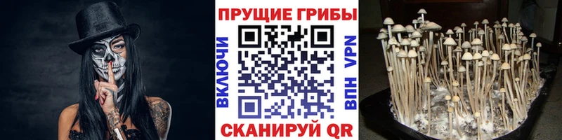 Псилоцибиновые грибы мухоморы  Звенигово 
